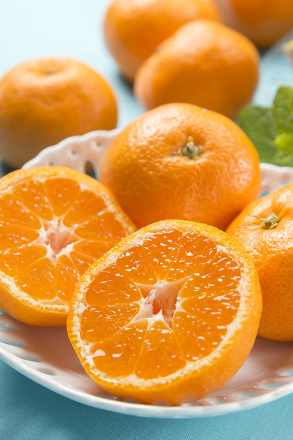 風水 当たる 試す 色